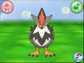 ポケパルレ　ムクホークと戯れるだけの動画