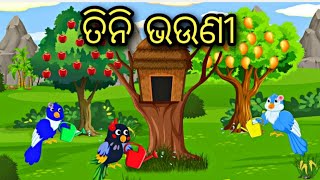 Tini Bhauni || Odia Stories || odia bird Story || odia gapa