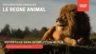 DOCUMENTAIRE ANIMALIER - LE REGNE ANIMAL - REPORTAGE COMPLET