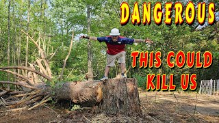 DANGER ON THE MOUNTAIN tiny house, homesteading, off-grid, cabin build, DIY, HOW