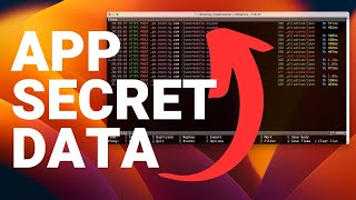 Unlocking Hidden API Data: Man in the Middle Proxy - Introduction to MITMProxy's Practical Power