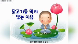 방경혜 교무부장스님 - 닭을 먹지 않는 이유