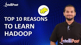 Top 10 Reasons To Learn Hadoop | Hadoop Tutorial | Hadoop Certification |intellipaat