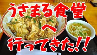 うさまる食堂へ行ってきた！！(*‘ω‘ *)大盛りマーボー丼