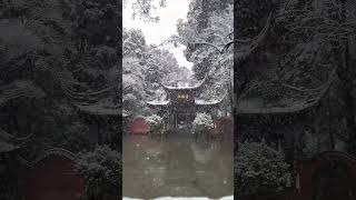 忽有故人心上过，回首山河已是冬。两处相思同淋雪，此生也算共白头 #囍茶人 #中国传统文化 #茶生活 #茶空间 #仪式感 #一花一草一世界 #祝福 #二十四节气