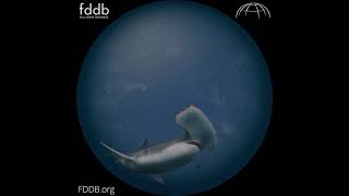 "Making Magic 3D", Trailer [Fulldome]