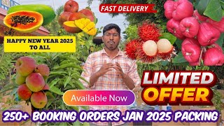 JANUARY 2025 DAY-1 ONLINE BOOKING ORDERS PACKING PLANTS PFFERS LIMITED TIMW ONLY