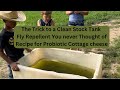 Keeping Stock Tanks Clean and The simplest Fly control, Probiotic Cottage Cheese Recipe