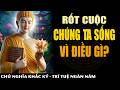 Rốt Cuộc Chúng Ta Sống Vì Điều Gì? - 9 Bài Học Tinh Hoa Từ Nhân Gian | Khắc Kỷ 365