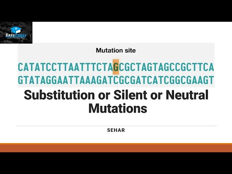 What is the difference between a silent mutation and a neutral mutation?