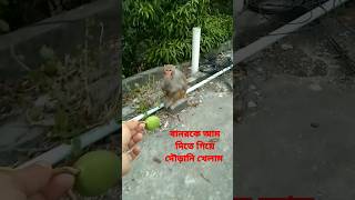 বানরকে আম দিতে গিয়ে বিপদে পড়লাম দেখুন#monkey #বানর