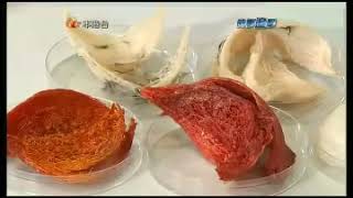 時事追擊2011：健康食品2