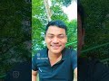 rÍksupo langka lekhan kumbang reels video mg mipun pegu