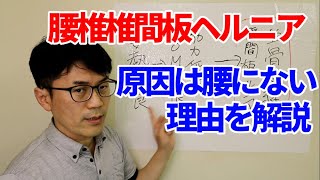 腰椎椎間板ヘルニアの原因は腰にない、理由を解説（セラピスト向け）