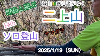 14thソロ登山【二上山】野鳥と遊ぶ