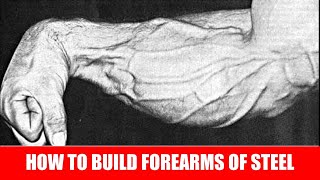 GOLDEN ERA WORKOUT TO BUILD FOREARMS OF STEEL!!
