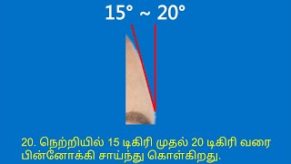 நெற்றியில் 15 டிகிரி முதல் 20 டிகிரி வரை பின்னோக்கி சாய்ந்து கொள்கிறது.