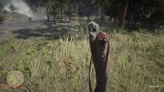 Didn’t Know Eagle Flies Had A Gravesite - Red Dead Redemption 2