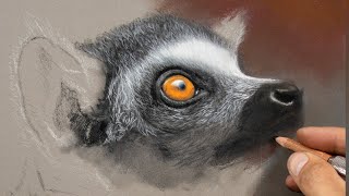 Wildlife Art - Pastel Pencil Lesson How to Draw an Eye - Jason morgan Art