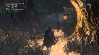 Bloodborne 禁域の森 敵全スルーでボスまでショートカット