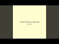 Tranquil Breeze Fragments