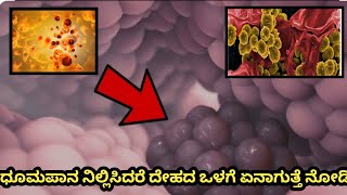 ಧೂಮಪಾನ ನಿಲ್ಲಿಸಿದರೆ ದೇಹದ ಒಳಗೆ ಏನಾಗುತ್ತೆ ನೋಡಿ | VHRvarun | #facts #kannadafactsvideos #viral #kannada