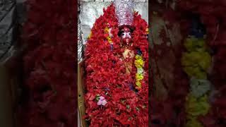 maa tara //tarapith #short #shorts #viral #tarapith @TarapithLive