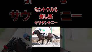 【セントウルステークス2024予想】 #競馬 #競馬予想 #投資競馬 #中央競馬 #セントウルステークス #紫苑ステークス #京成杯オータムハンデ #単勝 #複勝