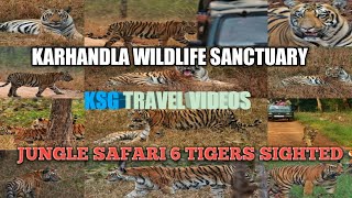 Day 2: Safari Umred Pauni Karhandla Wildlife Sanctuary | 6 Tiger Sightings | Jungle Safari | Tiger