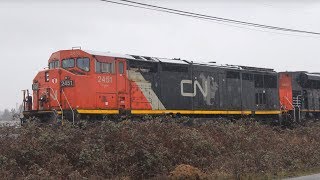 Railfanning Eugene, OR 2/4-11/17 - CN Cowl, AC6000CW, UP, CBRL, AMTK!