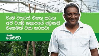 සුනිල් දිසානායක - වියළි කලාපීය හරිතාගාර වගාව