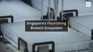 Singapore’s Flourishing Biotech Ecosystem