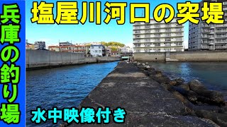 兵庫の塩屋川河口の突堤の釣り場を紹介！海中映像でポイントを確認