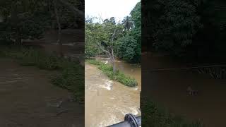 Maha oya/මහ ඔය @Mawanelle old brick bridge