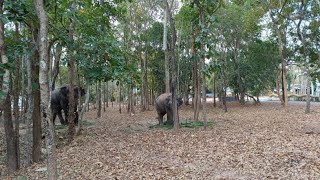 สวัสดีตอนเช้าครับที่  อ.หนองหาน จ อุดรธานี