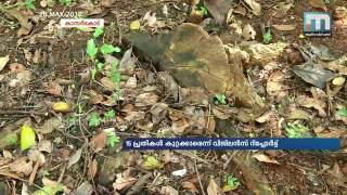 'Sale' of Kasargod fort കാസര്‍കോട് കോട്ട വില്‍പ്പന കേസ്: 15 പ്രതികള്‍ കുറ്റക്കാരാണെന്ന് വിജിലന്‍സ്