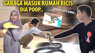 Download Mp3 GARAGA ULER GEDE MASUK RUMAH RICIS Dia Poop