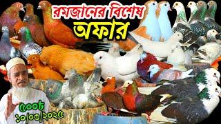 রমজানের বিশেষ অফার লুফে নিন আকর্ষণীয় কবুতর পাইকারি দামে ৫০০ টাকা পিস সবচেয়ে কমদামে কবুতর কিনুন