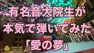 有名音大院生が本気で弾いてみた愛の夢【リスト】