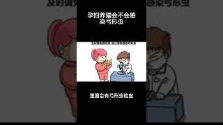 孕婦養貓會不會感染弓形蟲