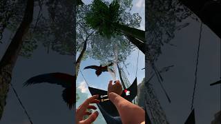 Sobreviviendo en la selva Green hell VR Meta Quest 3 #vr #gameplay #aim