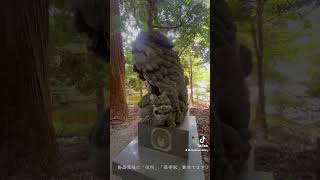 宮崎県西臼杵郡高千穂町鎮座「高千穂神社」参拝動画⛩️