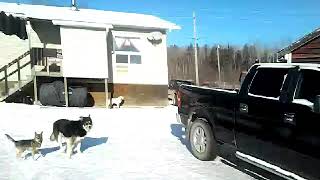 Poplar hill first nation walking in the ice at home