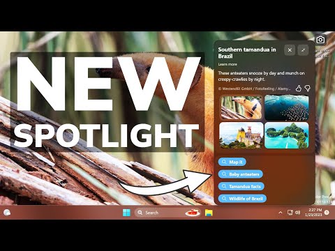 How to enable the new Spotlight UI with 3 variations in Windows 11 25281