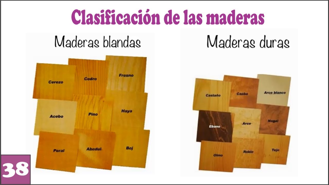 TIPOS DE MADERAS Duras Y Blandas 🌲 - YouTube