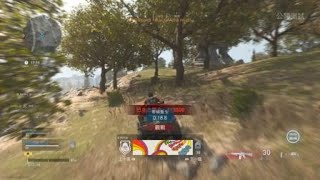 ［黑犬］PS4 COD:現代戰域 精華 一車兩個