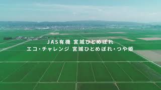 パルシステム米栽培研究会