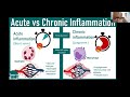 analyst class inflammation part 1 basic mechanism