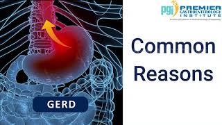 Common Reasons Behind GERD | PGI Hospital Jalandhar