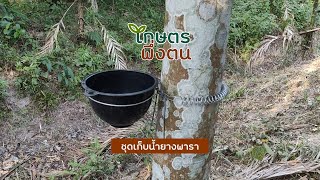 เกษตรพึ่งตน : ชุดเก็บน้ำยางพารา